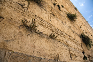 The Wailing Wall