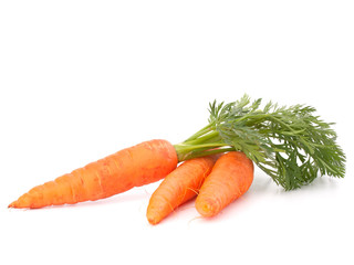 Carrot vegetable with leaves