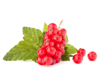 Red currants and green leaves still life