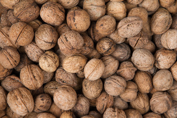 Walnuts in Shells