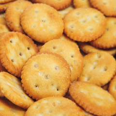 salty round crackers