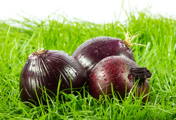 vegetable on green gras on isolated white  background