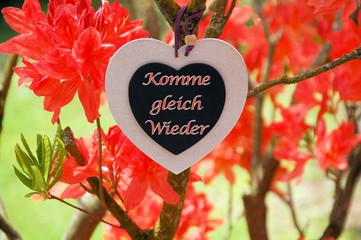 Bilder und Videos suchen: "bitte warten"