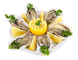 Oysters isolated on white