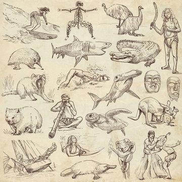 Australian collection - full sized hand drawings on old paper