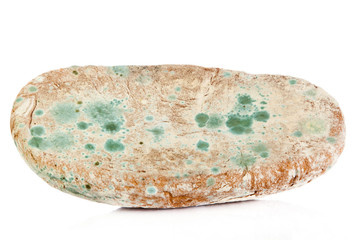 moldy bread isolated on white background