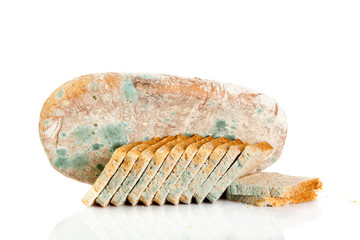 moldy bread isolated on white background