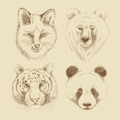 Set of different wild animals