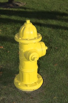 Yellow Hydrant
