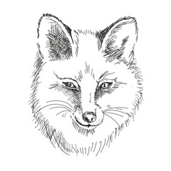 Fox head