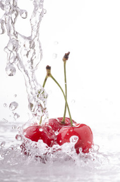 ciliege splash