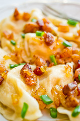 Traditional russian dumplings