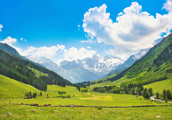 Beautiful landscape with Alps, Nationalpark Hohe Tauern, Austria