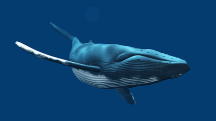 Naklejka premium クジラ