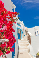 Greece Santorini island in Cyclades, traditional sights of color - 53063063