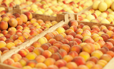 Tasty fresh peach background