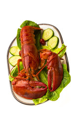 Large Lobster