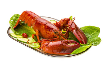 Large Lobster