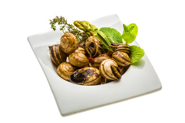 Escargot with asparagus, rosemary, thymus and tomato