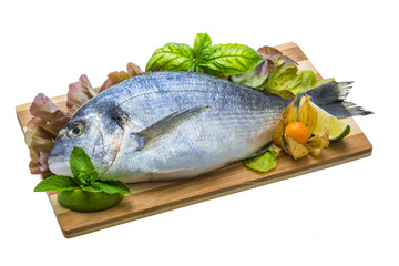 Fresh raw dorada