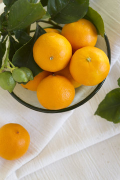 Pixie Tangerines