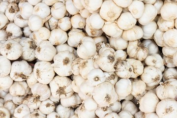 Garlic on market