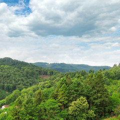 Obraz premium mountains covered with forests