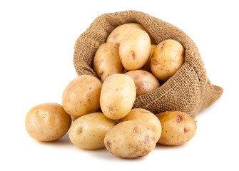 Ripe potatoes in a burlap bag