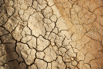 cracked earth