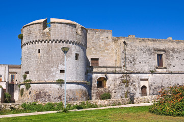 Fototapeta na wymiar Castle of Andrano. Puglia. Italy.
