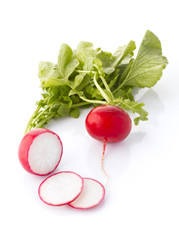 Bunch of fresh radish isolated on white