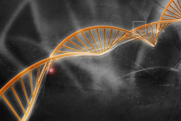 Digital illustration of  DNA .