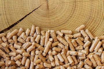 Holzpellets Baum