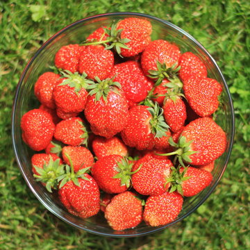 Strawberries