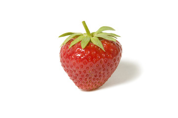 Strawberries on white background