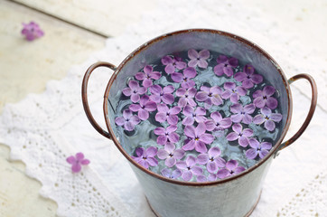 Lilac petals in water
