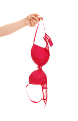 Hand holding a bra.