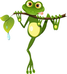 Obraz premium frog on a branch