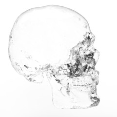 Head Human Skull realistic