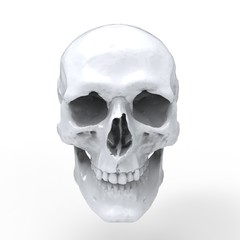 Obraz premium Head Human Skull realistic