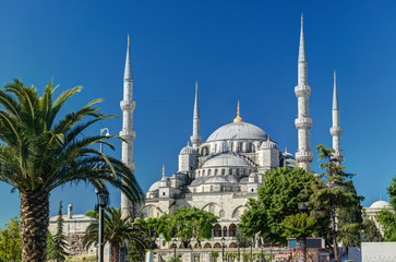 Fototapeta na wymiar Widok na Błękitny Meczet (Sultanahmet Camii) w Stambule, Turcja
