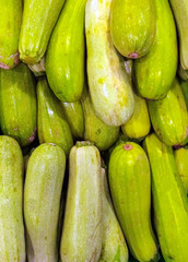Green zucchini background