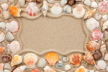 Frame of seashells