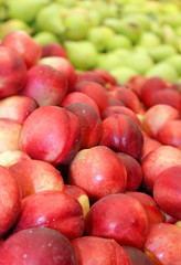 fresh ripe nectarines