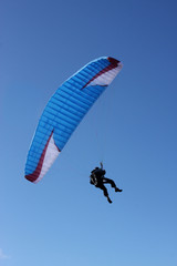 paraglider