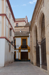 Fototapeta na wymiar Alley in front of the Museum of Fine Arts, Cordoba (Spain)