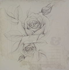 Paper card with roses / Vintage template to further customize