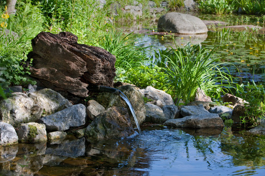 Gartenteich mit frischer Quelle