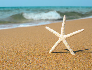 Fototapeta na wymiar Vacation concept - Star fish on tropical sandy beach