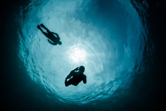 snell's snorkellers